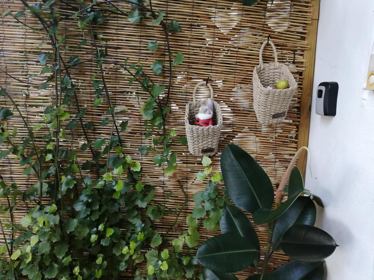 Olga'S Cozy Nest , Apartment In Ano Korakiana. Exterior photo