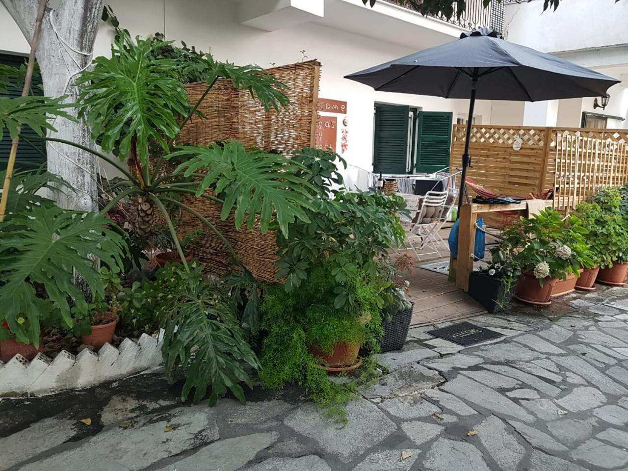 Olga'S Cozy Nest , Apartment In Ano Korakiana. Exterior photo