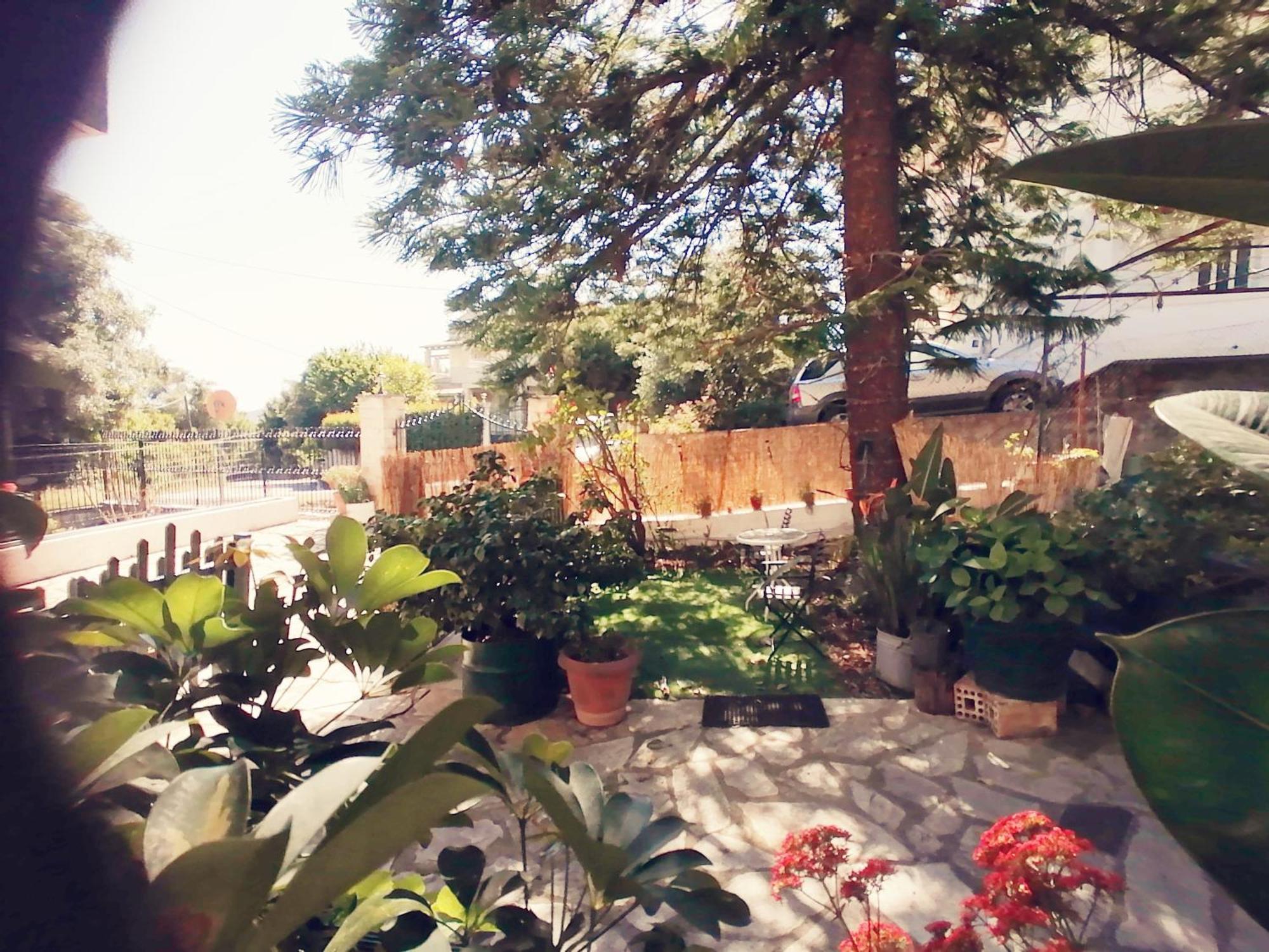 Olga'S Cozy Nest , Apartment In Ano Korakiana. Exterior photo